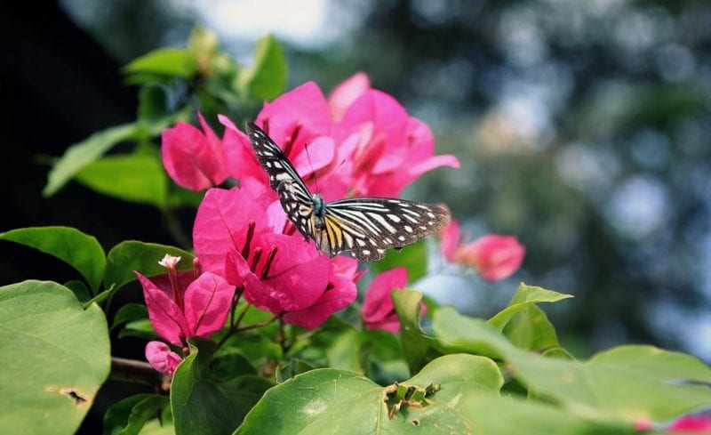 Treating Seasonal Allergies at Omaha Urgent Care | Walk-In Clinic Omaha